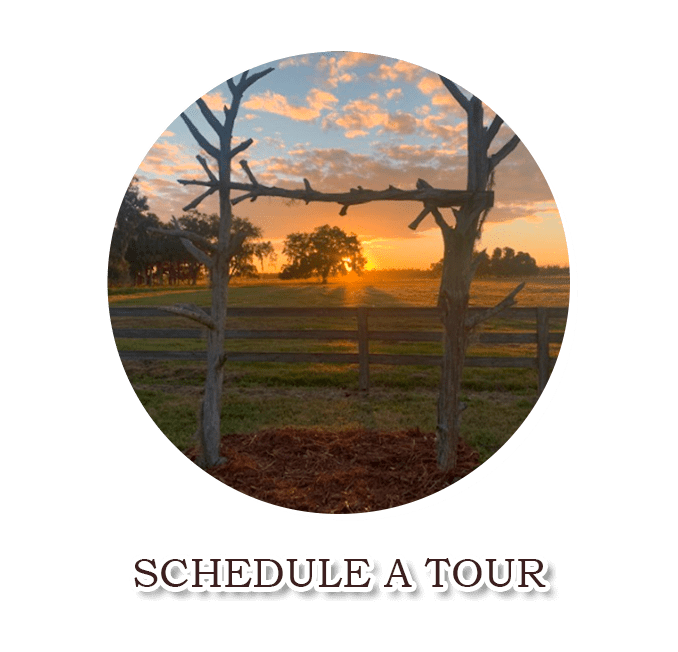 schedule-a-tour_2