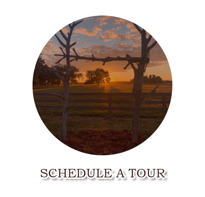 schedule-a-tour_hover-2